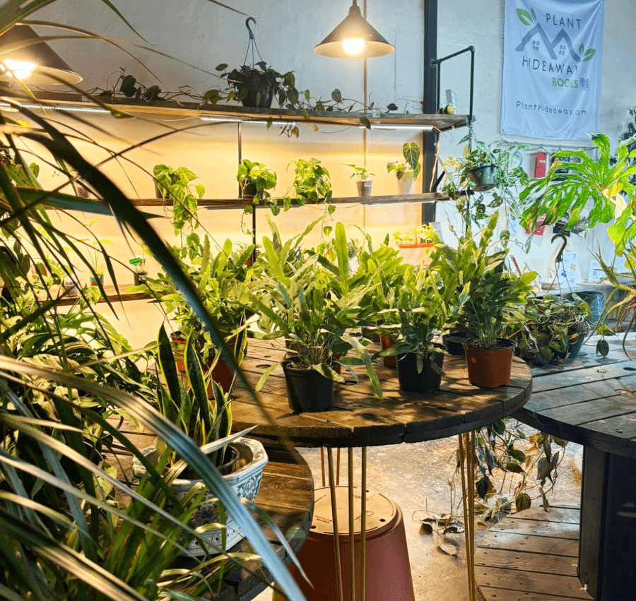 Success Story Headline 9